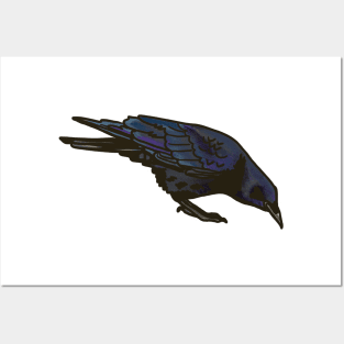 American Crow Posters and Art